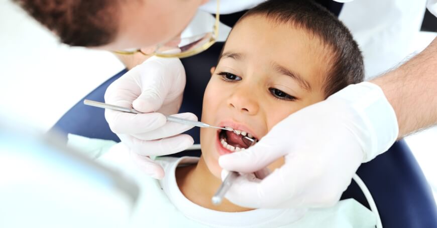 Introduction to the Dental Experts