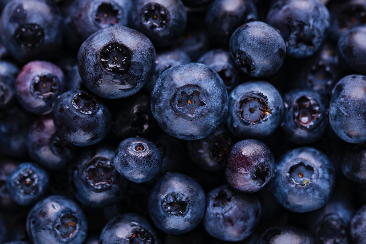 Blueberries, fruits, harvest — The Link Between Gut Health and Immune System Wellness: What You Need to Know
