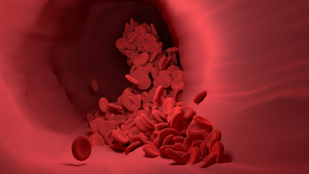 Red blood cells, blood vessel, blood flow — Why Choose LASIK Eye Surgery in Atlanta? Your Path to Better Vision